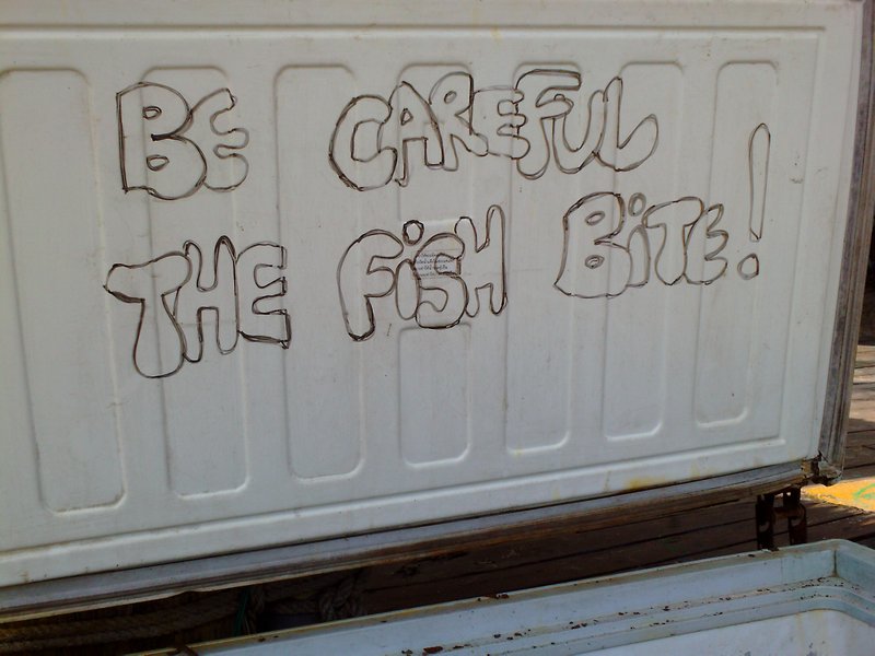 Fish warning on the cool box!