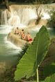 Life at Tad Sae Waterfalls