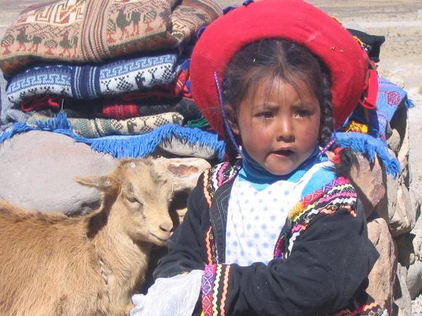Little Peruvian girl with little a Goat