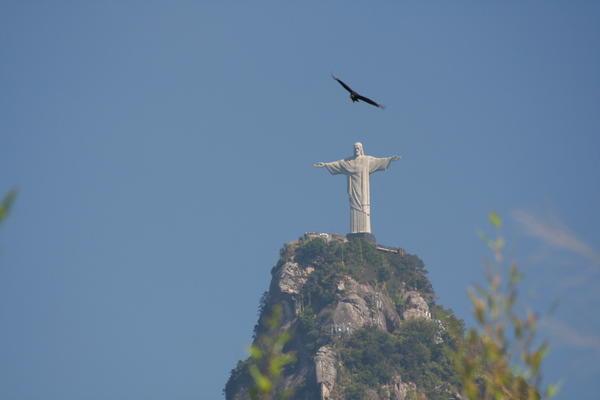 Vulture souring over the Christ the Redeemer statue