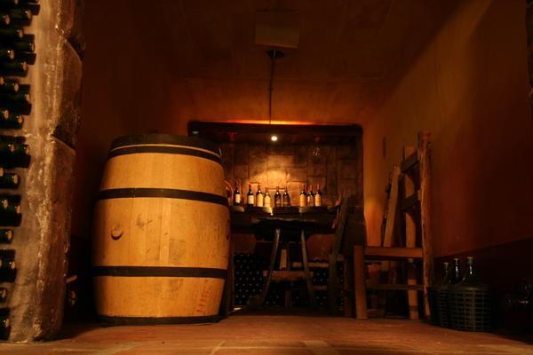 Beautiful rich colours of the traditional wine cellar