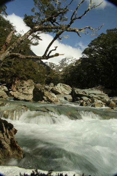 River on the Routeburn