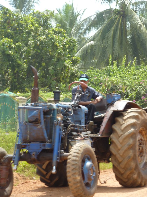 Agricultural Cambodia