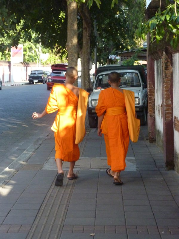 Monks - a common site here