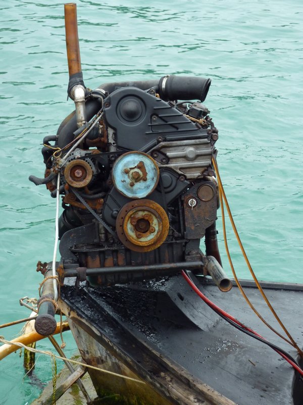 Long tail boat engine