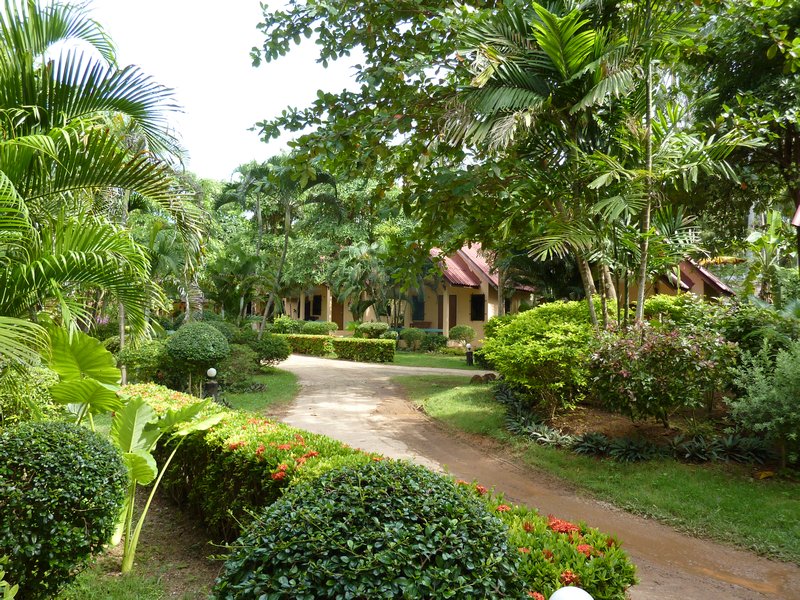 Our bungalows