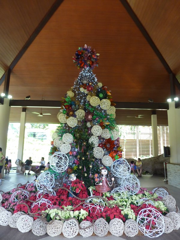 Botanic Gardens' Christmas Tree
