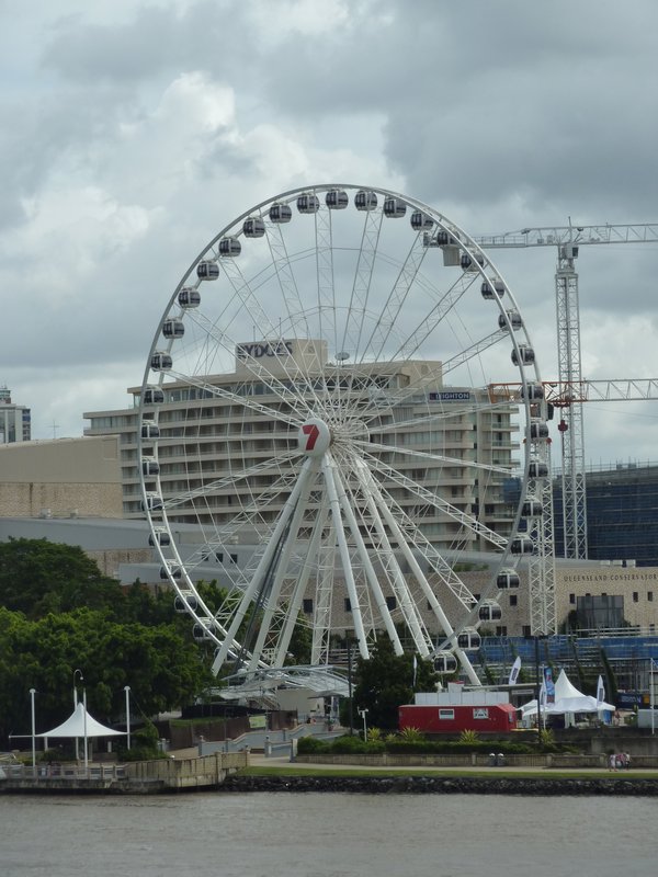 Looking towards South Bank and the Brisbane wheel