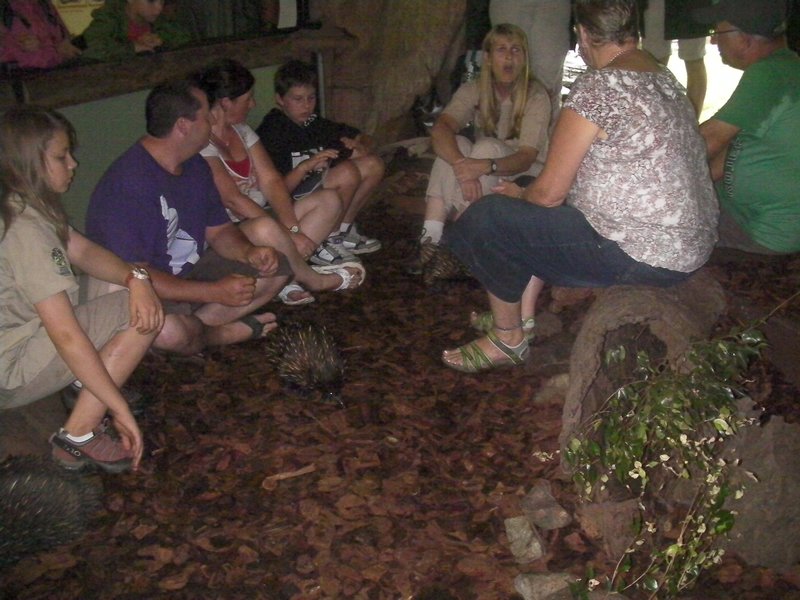 The Irwin family meeting some zoo visitors