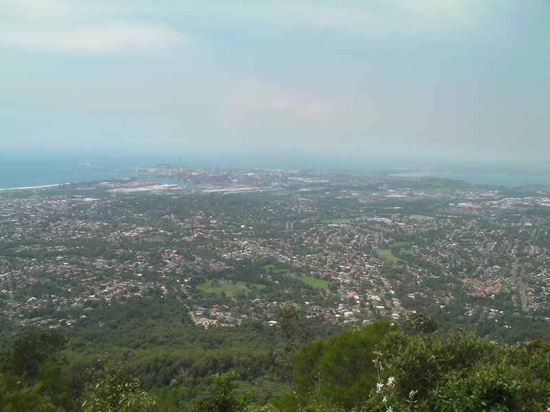 View from Mount Keira looking East (ish)