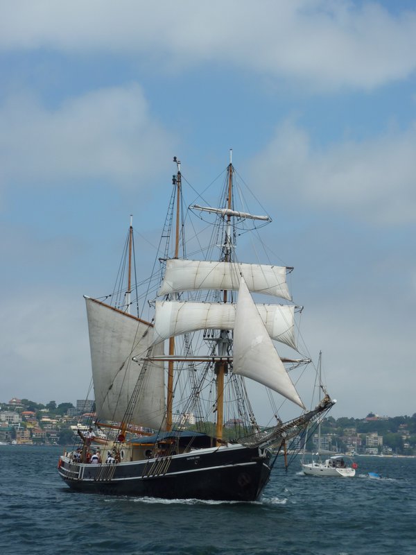 Tall ship in the harbour