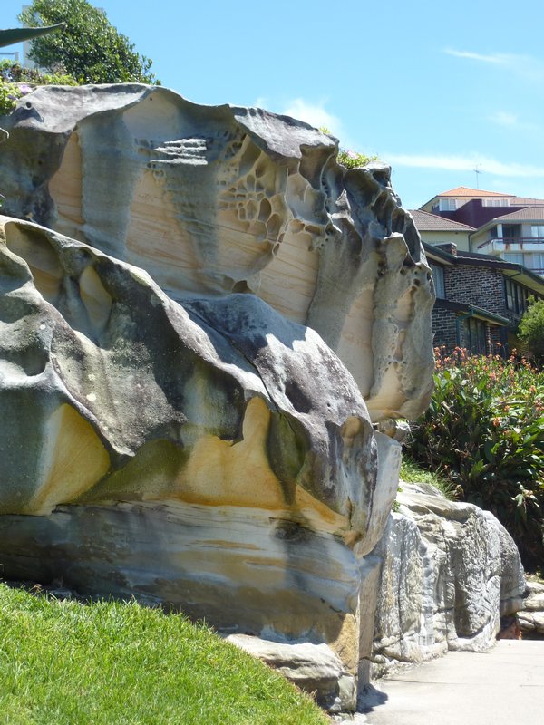 Bondi point's interesting rock formations