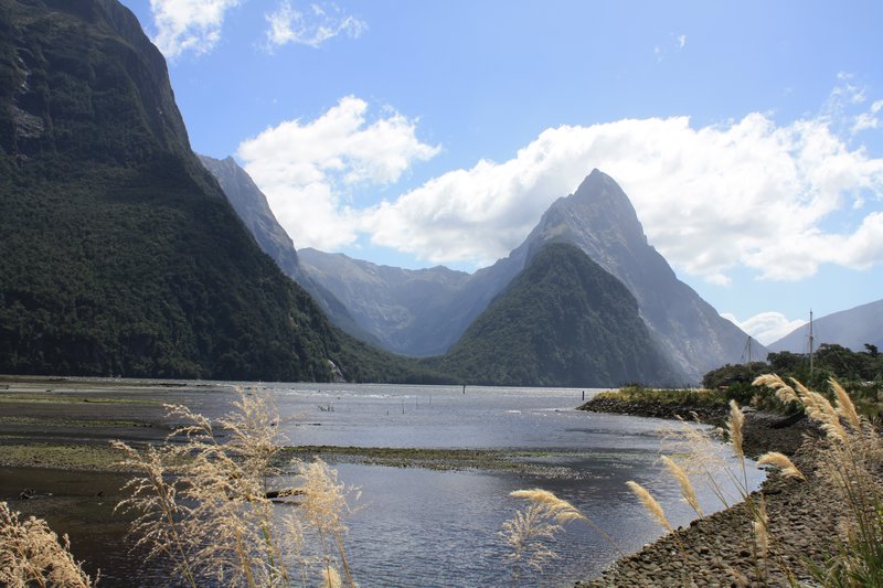 View from the carpark at Milford Sound