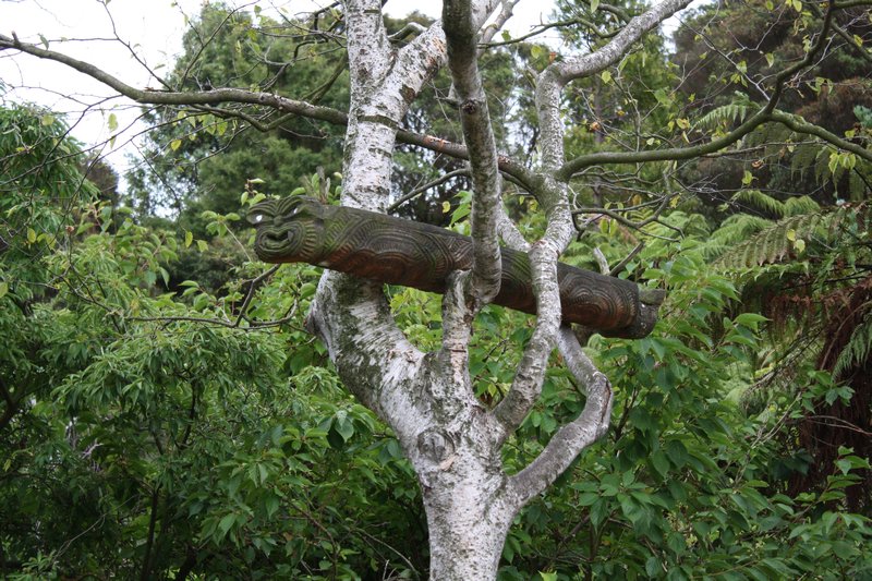 Maori carving in a tree