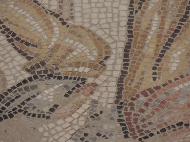 Close up of Mosaic floor, Tzipori