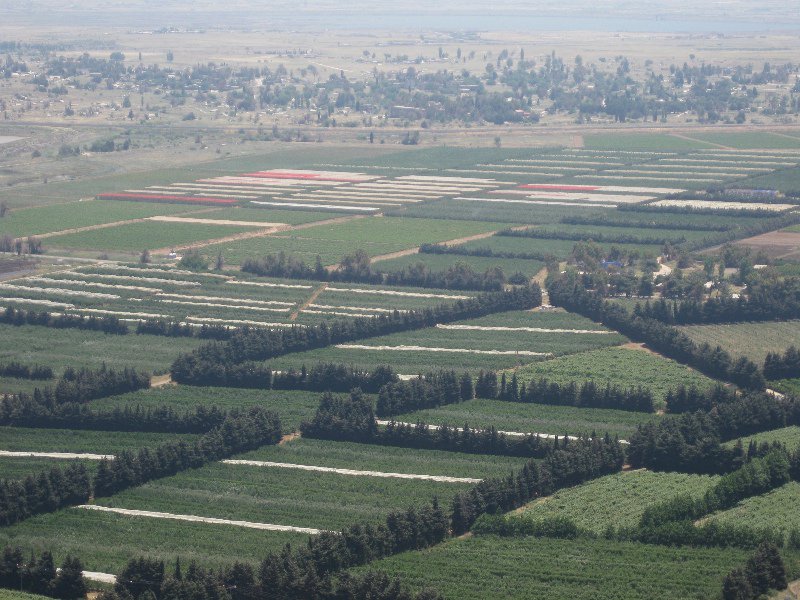 Israeli fields between Bental and Syrian border