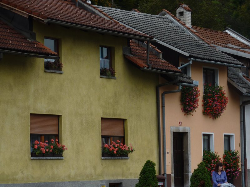 Slovene village houses