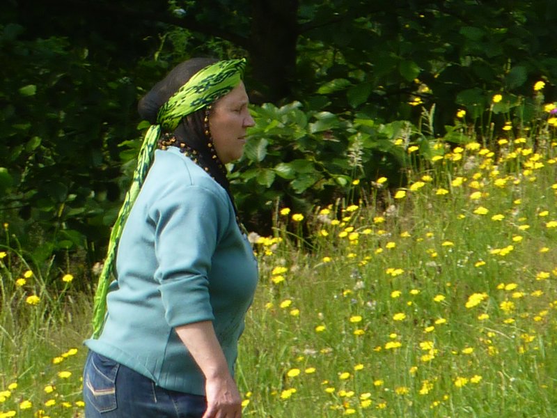 Hemsin woman in the meadow