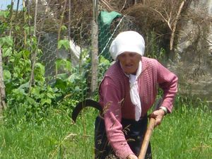 Woman raking hay in the Yayla