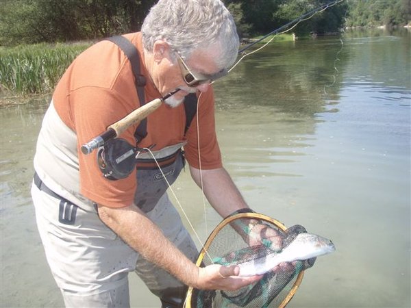 Fly Fishing on the Sava in Slovenia