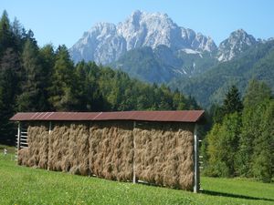 Drying Hay in Slovenian Alps