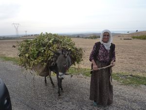 Woman and her donkey