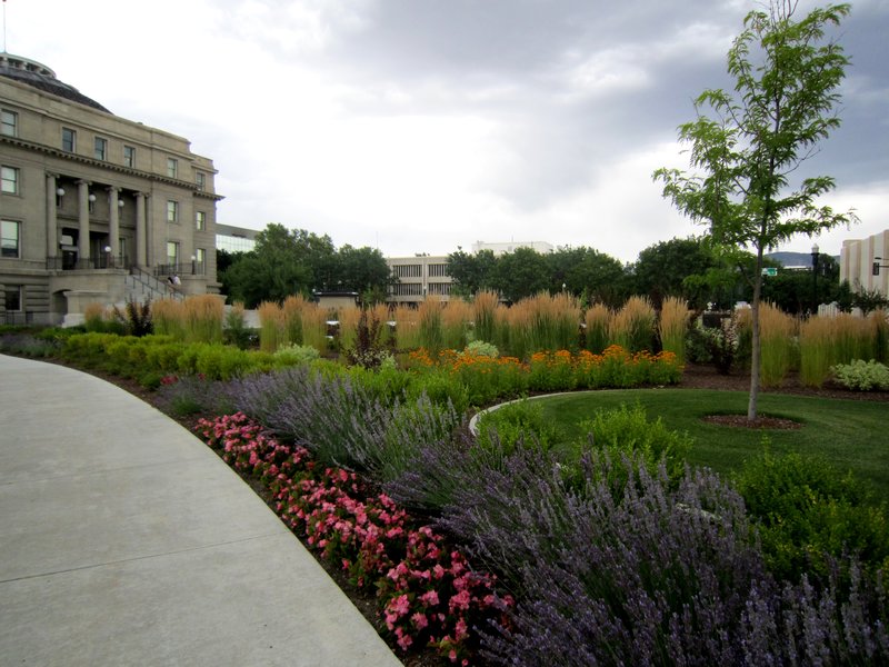 Capitol Building Garden