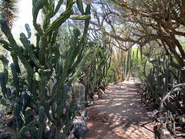 Moorten's Botanical Garden