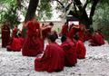 Debating Monks at Sera Monastery