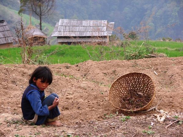 Nepali Girl in Field