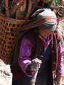 Sherpa Woman