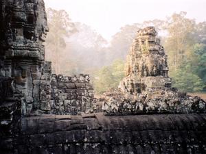 Angkor Banyan