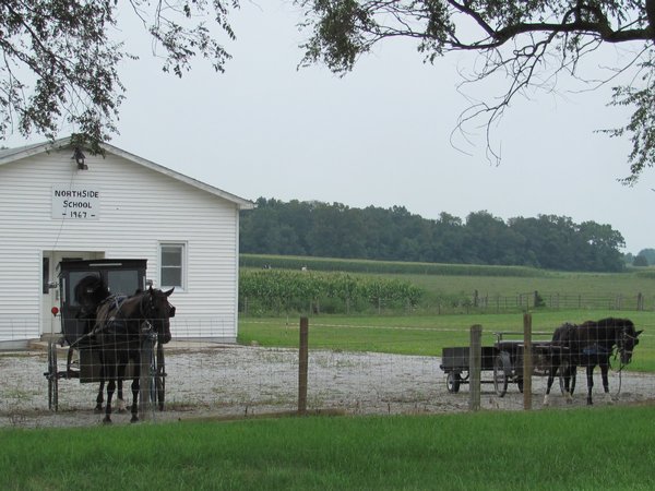 Amish School Horse Buggies.