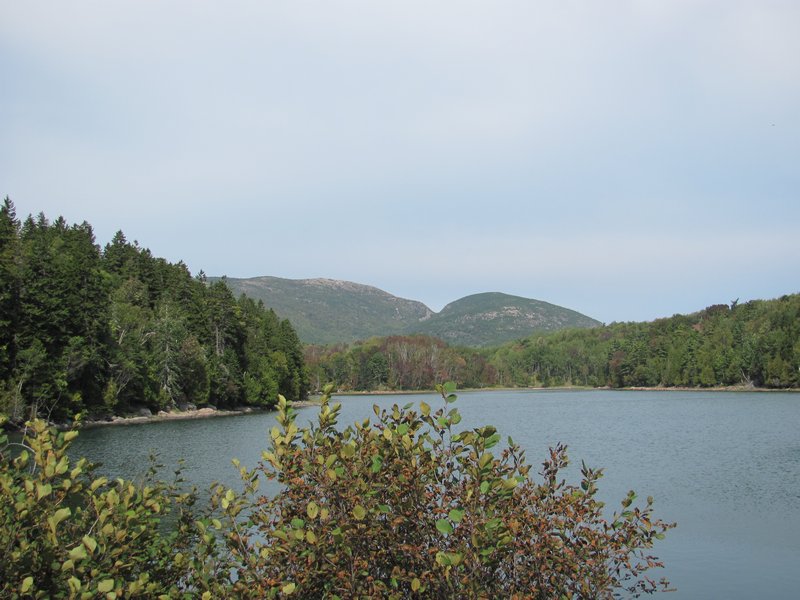 Acadia View