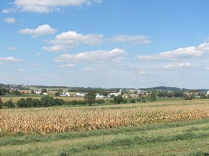Amish Farms