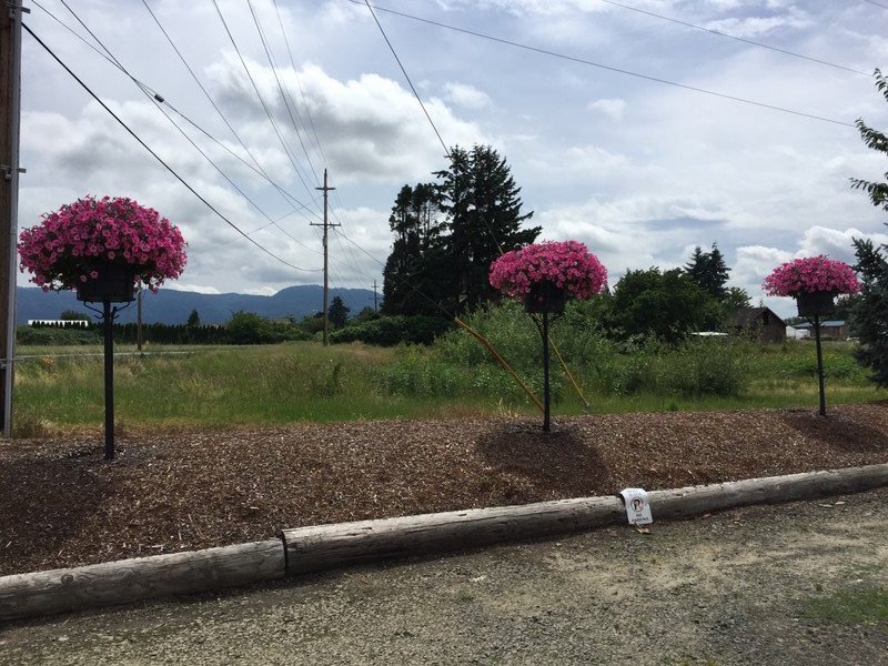 Flowers on a pole.