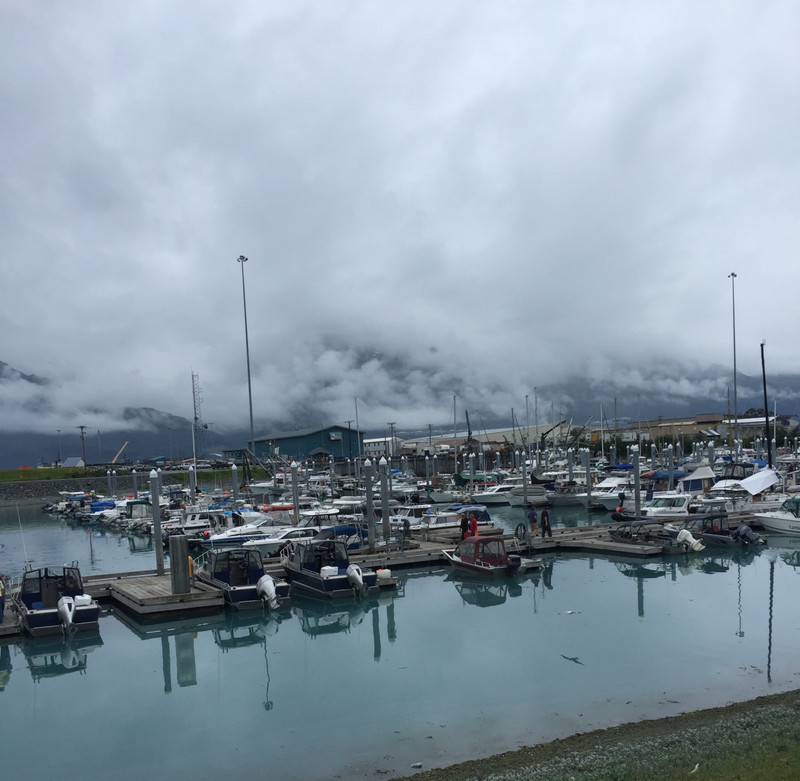 The harbor at Valdez.