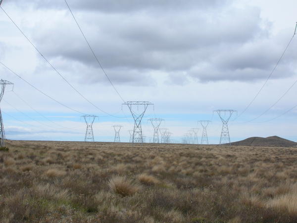 Powerlines in the Rangipo Desert