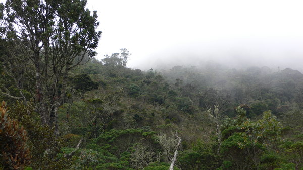 Trekking Nationalpark Iguaque