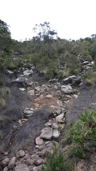 Nationalpark Santuario de Iguaque