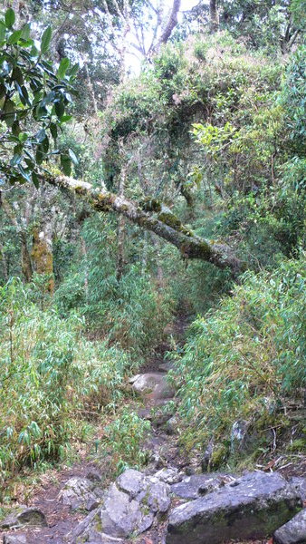 Nationalpark Santuario de Iguaque