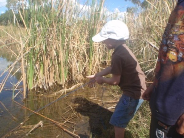 checking the yabby traps