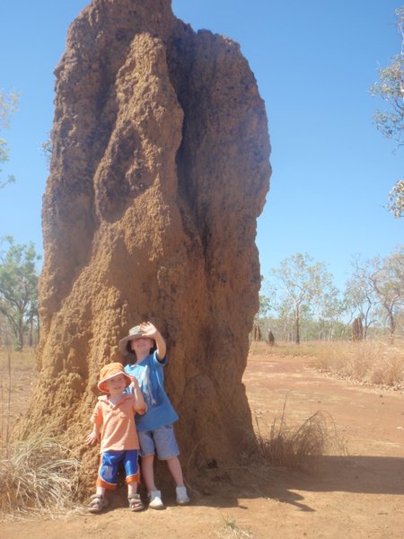 One big ant mound!
