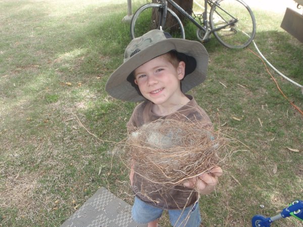 Emerson and his bird nest