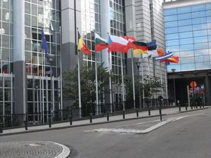 Flags of the EU Flags of the EU