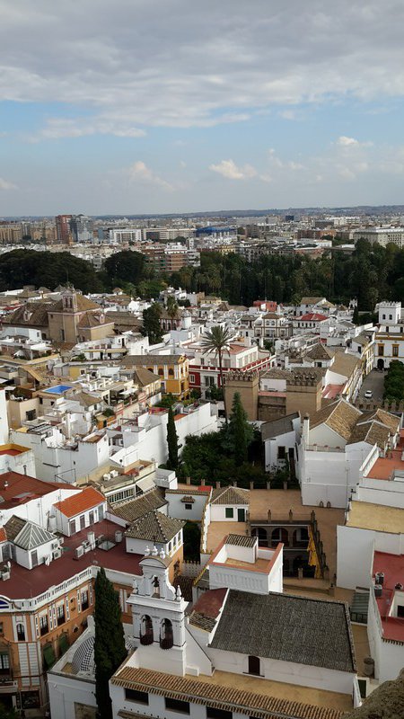 Seville rooftops