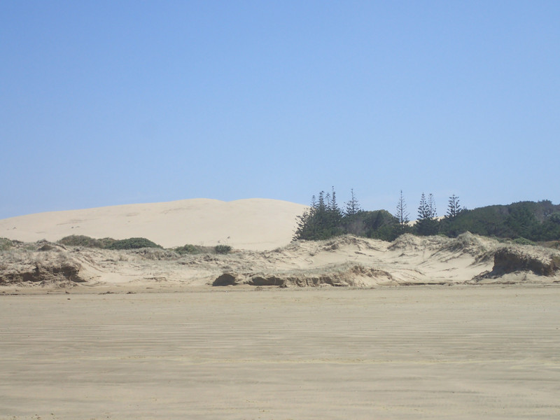 dunes at 90 mile beach