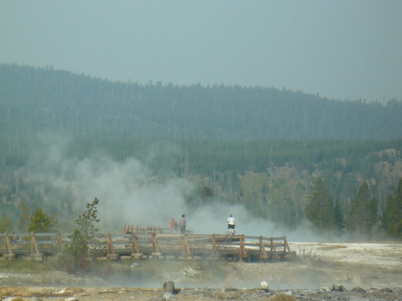 Yellowstone National Park 082