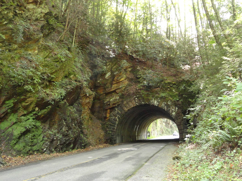 Tunnel on road to the Cove