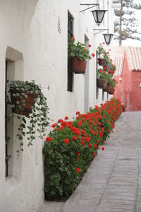 Alleyway in the Santa Catalina Monastery